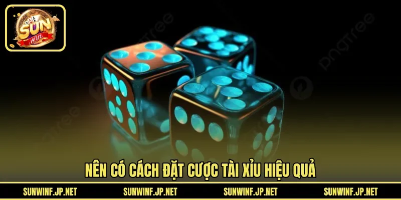 Nên có cách đặt cược Tài Xỉu hiệu quả 